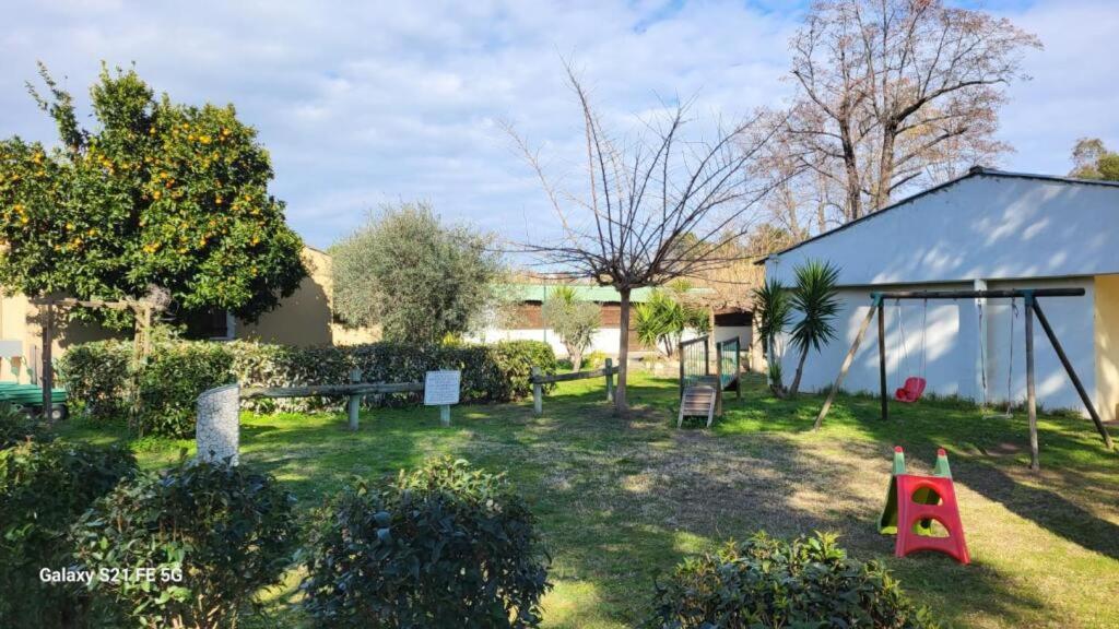 Chalet Avec Patio En Haute Corse 5 Couchages Camp du Cap Sud Экстерьер фото